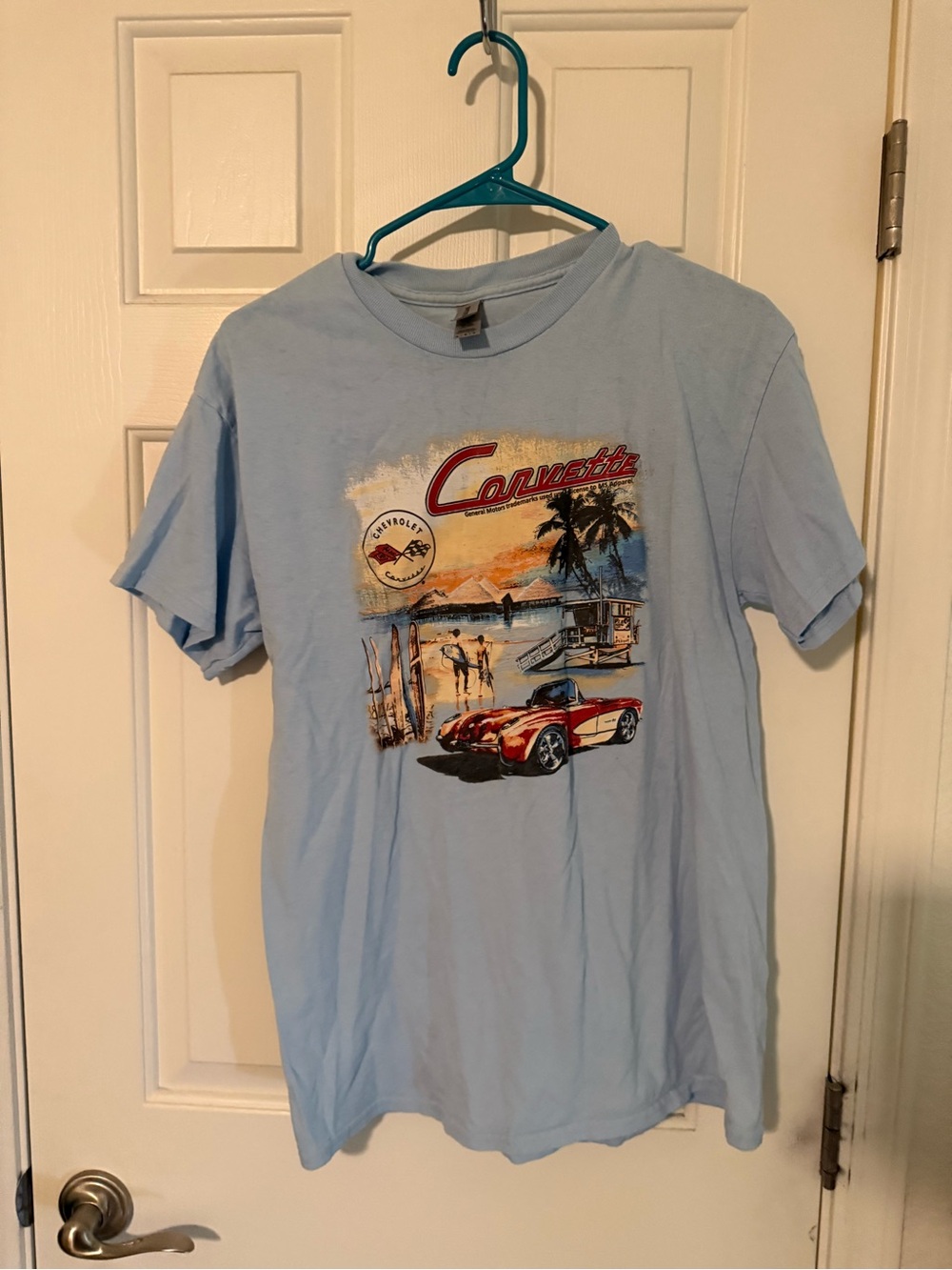 Graphic Tee - Light Blue Men’s Shirt